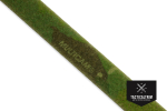 MMI Loop 25 mm MultiCam® Tropic